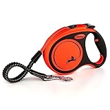 flexi Rollleine Xtreme - Tape Leash schwarz orange, L (1er Pack), XT30T5.251.S...