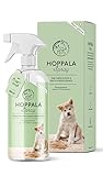 Annimally Enzymreiniger Spray 750ml gegen Katzenurin & Hundeurin XXL Packung -...