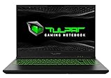 TULPAR A5 V19.1.3 Gaming Laptop | 15,6'' FHD 1920X1080 144HZ IPS LED-Display |...