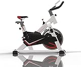 Stationäres Heimtrainer-Heimtrainer, Spinning-Bike mit unendlichem Widerstand,...