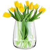 TREND FOR HOME Glasvase Gross H: 22.7 cm Vase für Pampasgras Glasvase Rund...