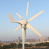 800W Windturbine 12V Windkraftanlage geräuscharm Windgenerator mit MPPT Regler...