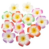 AGOUNOD 12 Stück Hawaiian Plumeria Blume Haarspangen Schaum Blume Haarnadeln Haarspangen...