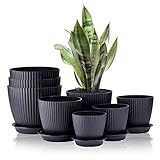 Warmplus 8er-Pack Blumentopf für Indoor, 19/17,5/16,5/16/14/13/11,5/10cm gestreifte...