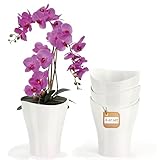 Garten lux Orchideentopf 4er Set 2L-Orchideen Übertopf groß Weiß Transparent...