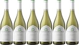 Casa Primicia Casa Primicia Chardonnay Rioja DOCa 2022 Trocken (6 x 0.75 l)