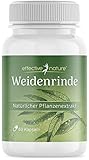 Weidenrinde-Kapseln - 60 Kapseln für 2 Monate - 200 mg Weidenrindenextrakt - Natürlicher...