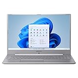 MEDION E17201 43,9 cm (17,3 Zoll) Full HD Notebook (Intel Pentium Silver N4120,...