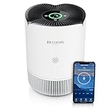 Brandson - Luftreiniger Allergiker - CADR 158 m³/h 45 m² - Air Purifier - Preisträger...