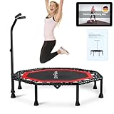 DH FitLife Fitness Trampolin klappbar Leise Gummiseilfederung ohne Installation | 50 Zoll...