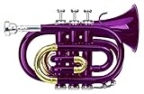 Classic Cantabile Brass TT-400 Bb-Taschentrompete (Messing, Schallbecher...