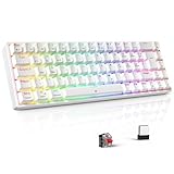 TECURS Gaming Tastatur Mechanische - Kabellos RGB Anti Gosting Beleuchtet...