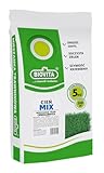 BIOVITA Rasensamen für schattige Bereiche – dichte Rasenmischung für perfekten...