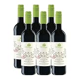 Landlust Dornfelder Spätburgunder BIO Vegan trocken (6 x 0.75 l)