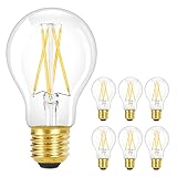 GBLY 6 Stück LED Glühbirne E27 Vintage Lampe - A60 Warmweiss Filament...