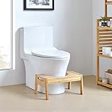 [en.casa] Toilettenhocker Kalajoki Toilettenhilfe Klohocker WC-Tritthocker WC...