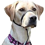 Premium Geschirr Hund - Erziehungshalsband liebevoll, Antizug- / no Pull Geschirr...