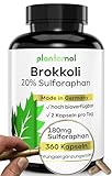 20% Sulforaphan! 360 Sulforaphan Kapseln hochdosiert aus Brokkoli-Extrakt mit 90mg...