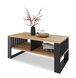 Meble Pitus Couchtisch - Wohnzimmertisch Modern - Couchtisch mit Stauraum 90 x...