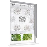 Raffrollo mit Kreis-Motiven Druck Design Rollos Voile Transparent Vorhang (BxH 80x140cm,...