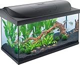 Tetra Starter Line 105 L Aquarium Komplett-Set - inkl. Tag- & Nachtlicht LED-Beleuchtung,...