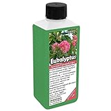 GREEN24 Eukalyptus Dünger NK-Flüssigdünger für Eucalypten wie...