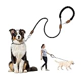 Hundeleine für Große Hunde, 2in1 Halsband Hund und Leine, Reflektierend-e Nylon...