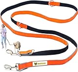 Hundefreund Multifunktionsleine (6 in 1) verstellbare Hundeleine 3m zum...