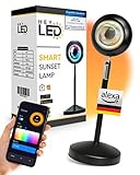 HEYLED® Sunset Lamp mit Smart App Control – LED Sonnenuntergang Lampe für ein...