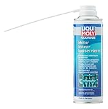 LIQUI MOLY GmbH Marine Motor Innenkonservierer