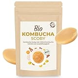 Curly Superfood Bio Kombucha Pilz aus deutscher Herstellung - Kombucha Tee...