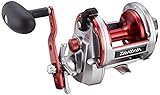 Daiwa Sealine Ishidai 40H Entoh Rechtshand Multirolle mit Zählwerk