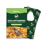 Legona® - Schlupfwespen gegen Lebensmittelmotten / 3X Trigram-Karte à 3...