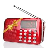 Raddy RF23 Tragbar Radio Klein AM/FM Kurzwellenempfänger MP3 Musik Player, unterstützt...