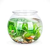 Nobleza - Kugelaquarium Bruchsicherer Kunststoff Fischschale, ideal für Blumen oder als...