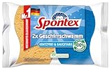 Spontex Geschirrschwamm 2er Pack, Kratzfrei & saugstark