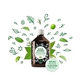 Vita Biosa Original 500 ml in Bio Qualität - Fermentgetränk mit Milchsäurebakterien aus...