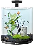 Tetra Explorer Line 60 L Aquarium Komplett-Set - Design Aquarium mit gebogener...