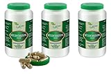 VITA IDEAL Vegan® Weidenrinde 3x360 Kapseln - Salicis alba Cort - Tagesportion 460mg...