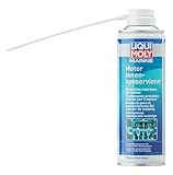 LIQUI MOLY Marine Motor Innenkonservierer | 300 ml | Bootspflege | Art.-Nr.: 25032