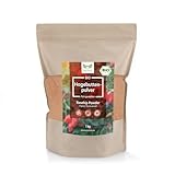 NaturaForte Bio Hagebuttenpulver 1kg – Natürliche Rohkostqualität aus frisch...