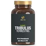 VITACTIV Tribulus Terrestris 1500 mg | 240 Kapseln - Hochdosierter Tribulus Extrakt aus...