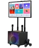 ARWIC Tragbare Karaoke-Maschine Komplettes Karaoke-System mit Bluetooth-Lautsprechern auf...