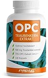 OPC Traubenkernextrakt - 240 Kapseln mit 75% reinem OPC je Kapsel - laborgeprüft...