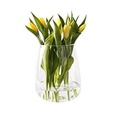 Giessle® [ Große ] Glasvase, Vase für z.B. Trockenblumen & Tulpen, Tischvase,...