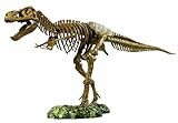 EDU-TOYS Tyrannosaurus Rex Skelett