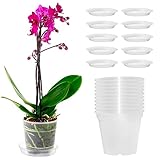 Orssmigs 10 Stück Orchideentopf Transparent Ø11,5cm x Höhe 11cm Kunststoff Pflanztöpfe...