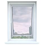 Apalus Fliegengitter für Dachfenster, Insektenschutz zum Anbringen an...