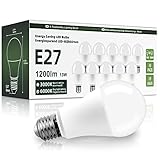 OGADA LED Lampe, 13W LED Glühbirne, E27 Led Kaltweiß, 6000K, A60 Leuchtmittel, 1200...