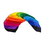 Wolkenstürmer® Paraflex Basic 1.2 (Rainbow) Kite - 2-Leiner Lenkmatte mit Flugschlaufen...